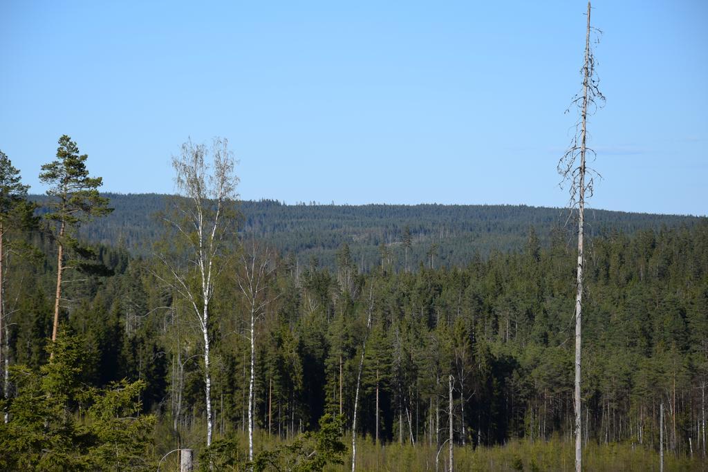 Kronobo Marieholm  Esterno foto