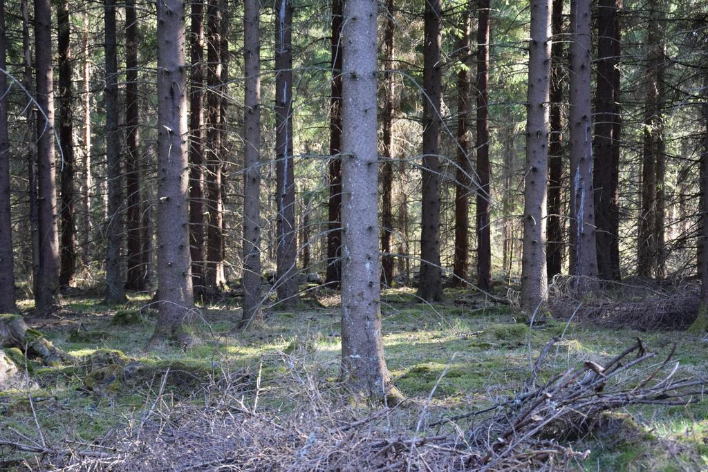 Kronobo Marieholm  Esterno foto