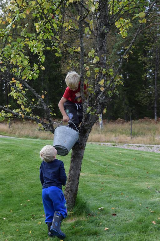 Kronobo Marieholm  Esterno foto