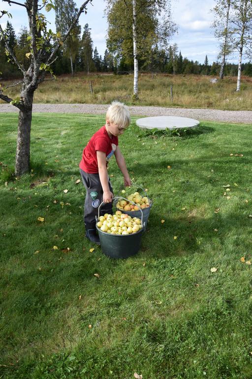 Kronobo Marieholm  Esterno foto